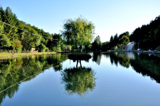 lago-storioni-e-carpe